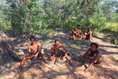 San bushmen kalahari Çölü'nde 