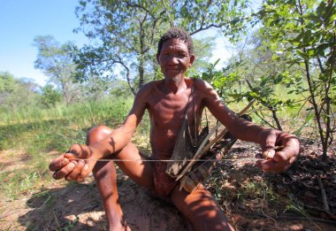 San Bushmen yürüyüş kalahari Çölü'nde 