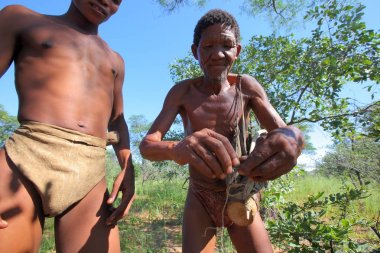 San bushmen kalahari Çölü'nde 