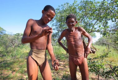 San bushmen kalahari Çölü'nde 