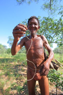 San Bushmen yürüyüş kalahari Çölü'nde 