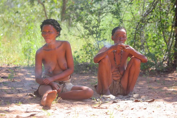 Grashoek - köy Bushmen kabilesi