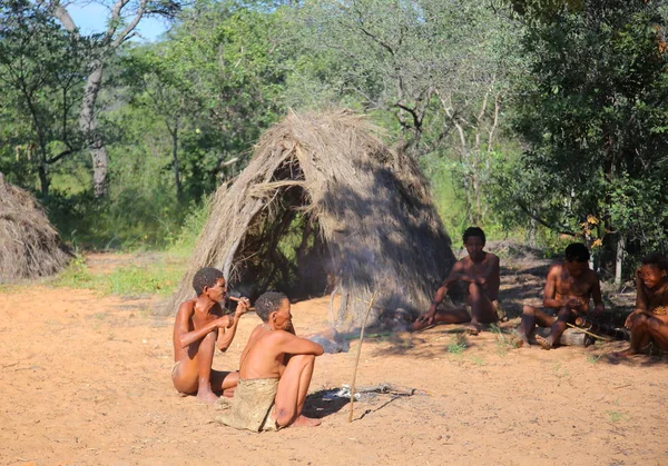 San Křováci v poušti kalahari — Stock fotografie