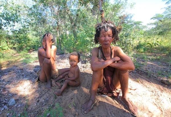 Grashoek - köy Bushmen kabilesi