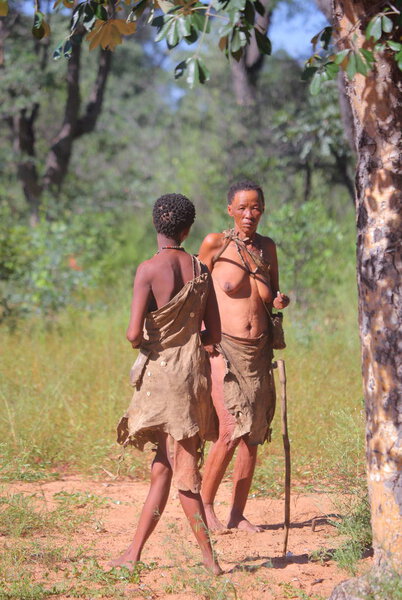Grashoek - village of Bushmen tribe