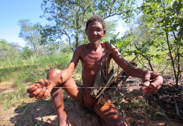San Bushmen yürüyüş kalahari Çölü'nde 