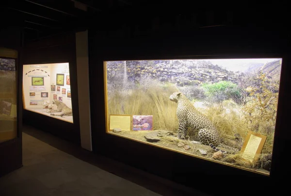 Nationalmuseum von Namibia — Stockfoto