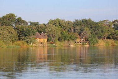 Okavango Nehri, Ngepi kampı