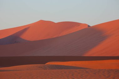 Sand Dunes - Sossusvlei