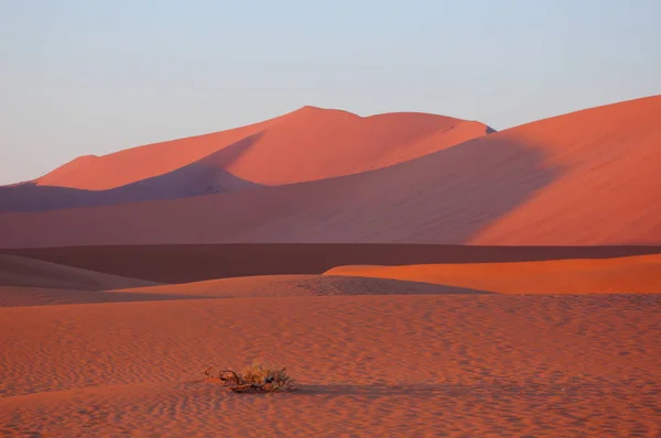 Sand Dunes - Sossusvlei — Zdjęcie stockowe