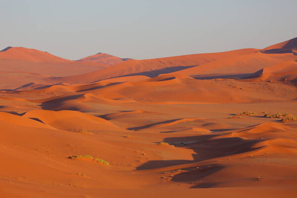 Sand Dunes - Sossusvlei