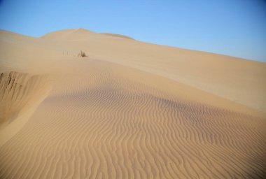 Walvis Bay yakınındaki kum tepeleri