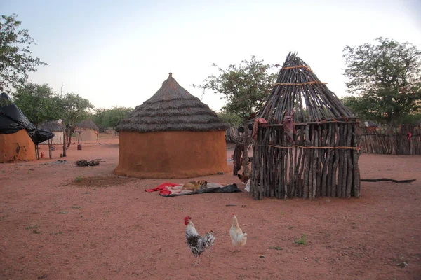 Vila da tribo Himba (região de Kunene ) — Fotografia de Stock