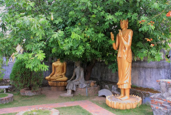 Statues de Bouddha à Luang Prabang — Photo