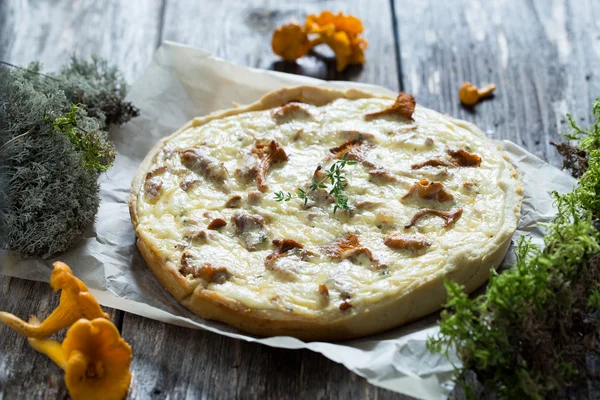 Пирог с сыром и лисичками — стоковое фото