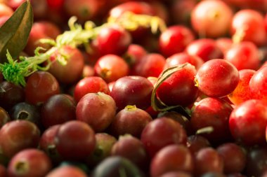 Taze kızılcık, Görünümü Kapat