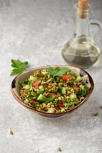 Gezonde Salade Met Mungbonen Tomaten Komkommer Sla Groenten — Stockfoto