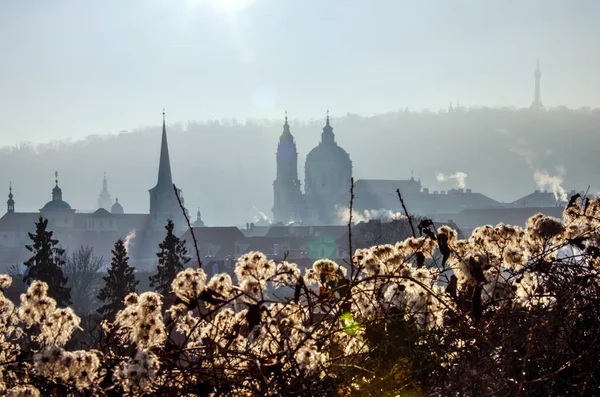 Prag 'da sabah. Kara Kule 'deki gözlem güvertesinden Küçük Tarafın görüntüsü