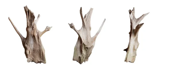 Izolovat Krásné Dřevo Set Použití Pro Zdobení Akváriu Bílém Pozadí — Stock fotografie
