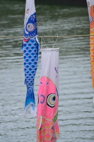 Colorido Japonês Koi Carpa Peixes Catchers Lago — Fotografia de Stock