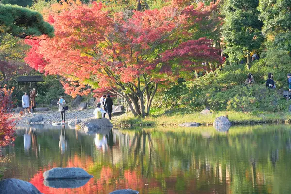 Göl sonbahar renkleri