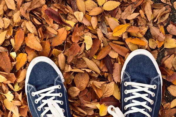 Arka plan çift mavi Tuval Ayakkabı ile düşen sonbahar yaprakları
