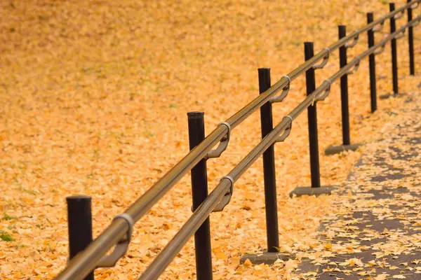 Sonbahar yapraklı metal çitler