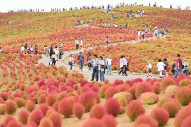 İnsanlar parkın güzel manzarasında yürüyorlar.