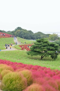 İnsanlar parkın güzel manzarasında yürüyorlar.