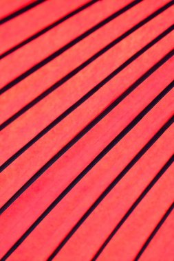 Arka plan doku Japon kırmızı şemsiye