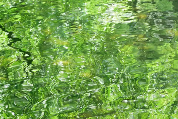 Зеленая Вода Реке — стоковое фото