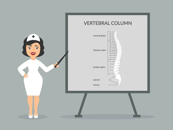 O médico mostra a estrutura da coluna vertebral. Apresentação de cirurgião ou neurologista. Vetor em design plano . —  Vetores de Stock