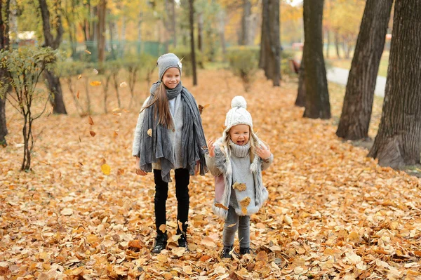 Дві дівчини в сірих шапках стоять в осінньому парку ввечері — стокове фото