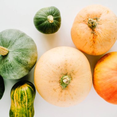 sonbahar sonbahar düz lay