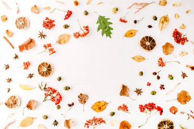 sonbahar sonbahar düz lay