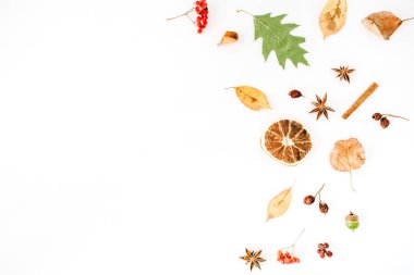 sonbahar sonbahar düz lay