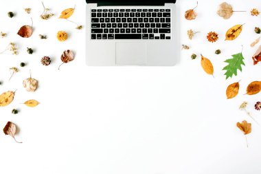 sonbahar sonbahar düz lay