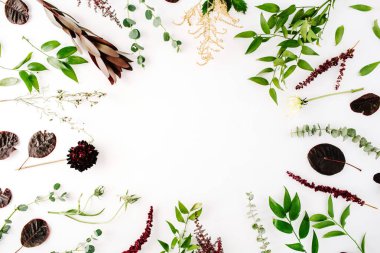 beyaz zemin üzerine yeşil ve mor dalları