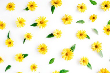 Chamomiles ve yeşil yaprakları desen