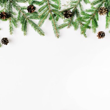 çam dalları ve çam kozalakları