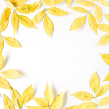 Sarı sonbahar sonbahar yaprakları