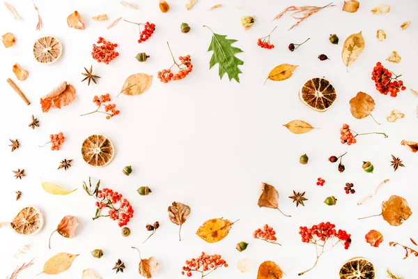 sonbahar sonbahar düz lay