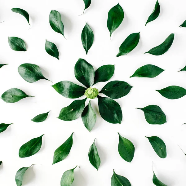 Zielony wzór liści — Zdjęcie stockowe