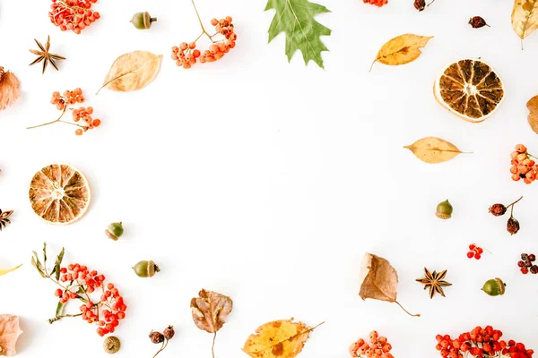 Podzimní pádu plochý lay — Stock fotografie