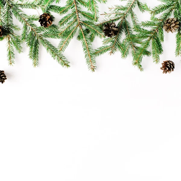 Weihnachtskomposition mit Tannenzweigen und Tannenzapfen — Stockfoto