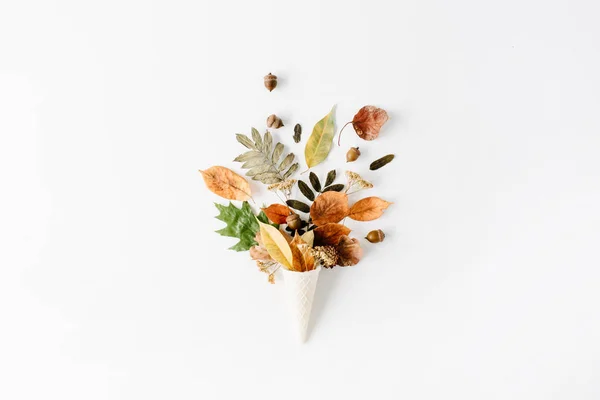 Wafel stożek z suszonych liści jesienią — Zdjęcie stockowe