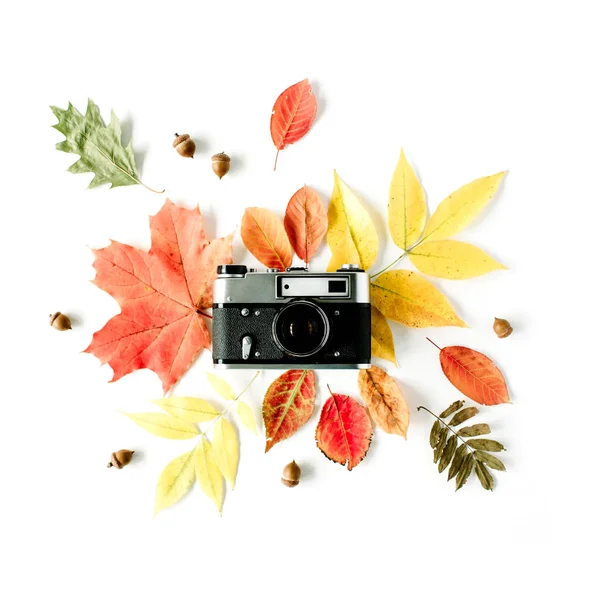 Винтажная ретро-камера и осенняя осенняя цветочная рамка — стоковое фото
