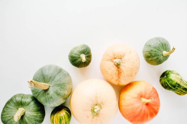 sonbahar sonbahar düz lay