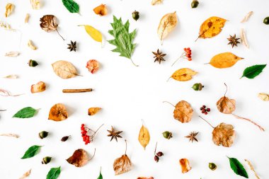 yaratıcı desen düzenleme