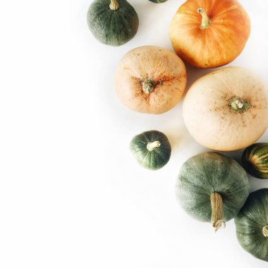 sonbahar sonbahar düz lay